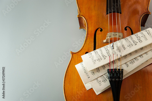 Fragment of cello or violin with bow and notes on a gray background and place for text