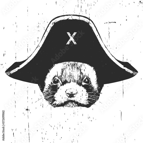Portrait of Least Weasel with a pirate hat. Vector. 