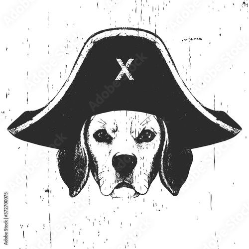 Portrait of Beagle with a pirate hat. Vector. 