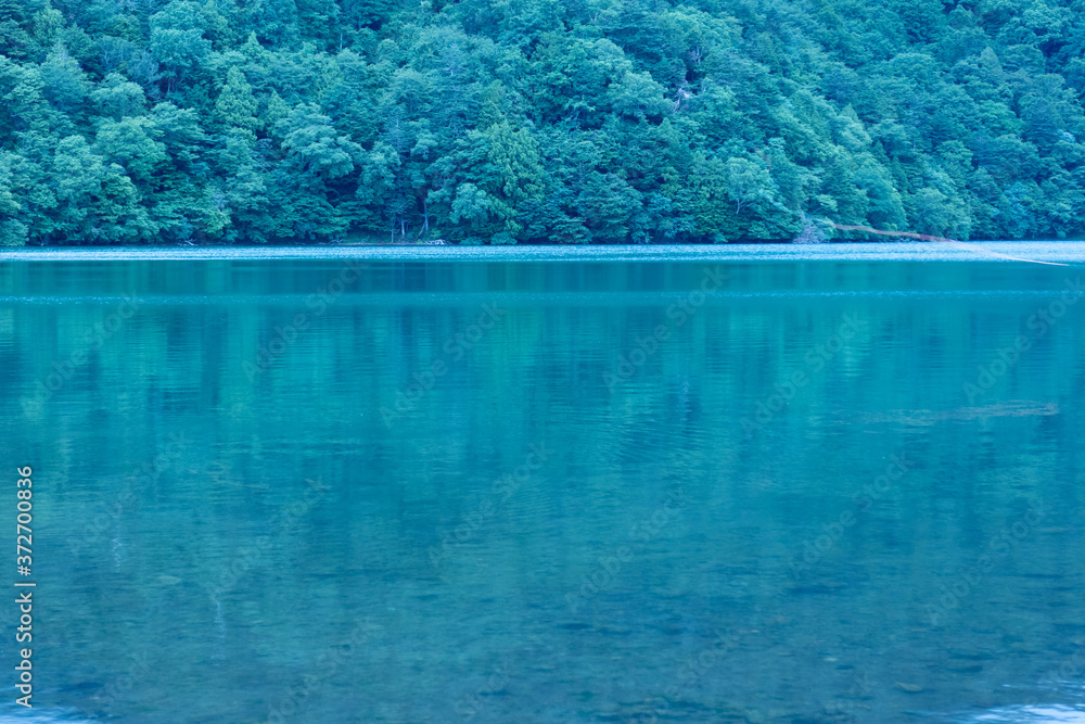 湖と森の風景