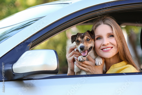 Woman with cute dog in modern car © Pixel-Shot