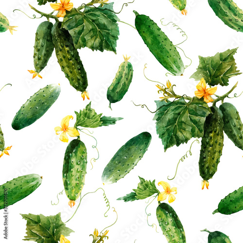 Beautiful vector seamless vegetable pattern with watercolor summer cucumbers. Stock illustration.