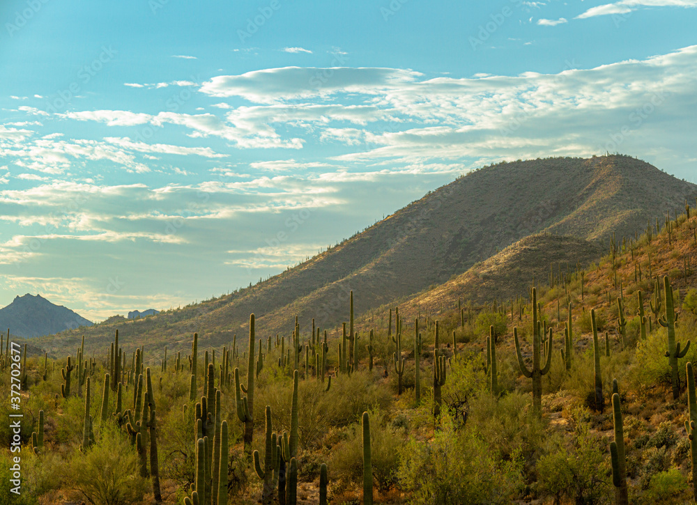 Panoramic sunset over a mountain landscape in the Sonoran Desert of Arizona