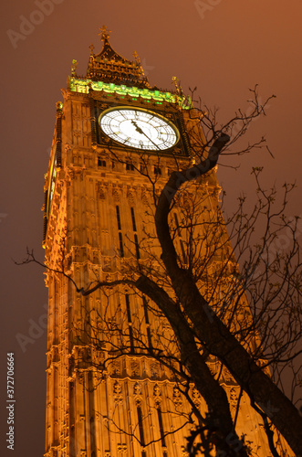 foto noturna do Big Ben com a silhueta de uma ´´arvore nna frente photo