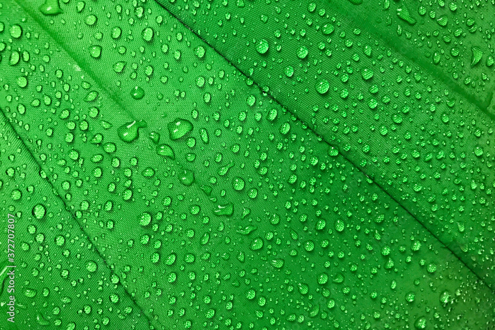 Fototapeta premium Water drops on green canvas background