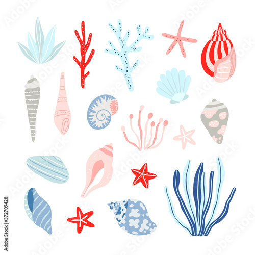 Seashell vector set. Seaweed and seashell isolated on white background. Nautical theme beach collection