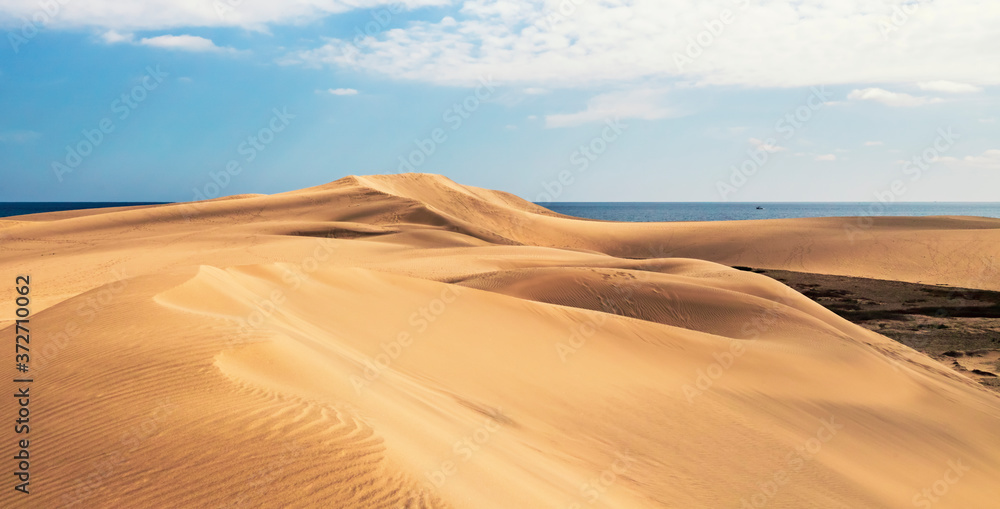 sand dunes on the beach, dunes maspalomas gran canaria