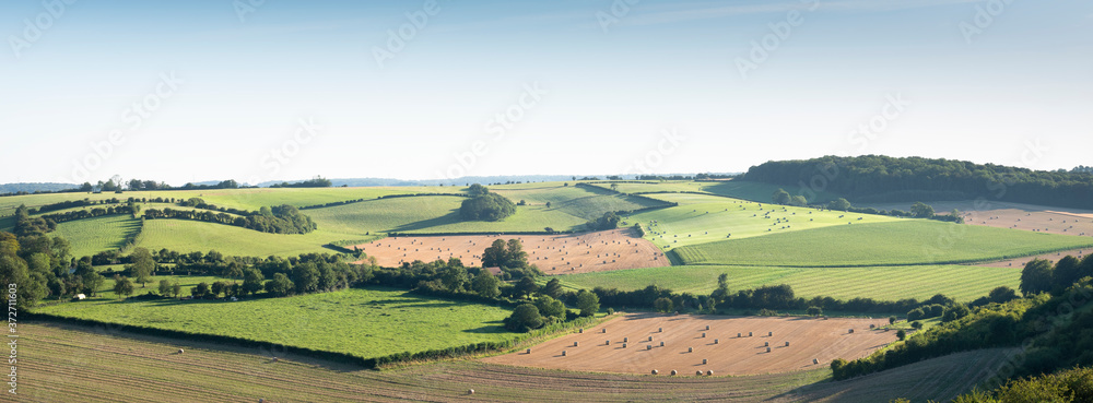 landscape with cornfields and meadows in regional parc de caps et marais d'opale in the north of france - obrazy, fototapety, plakaty 
