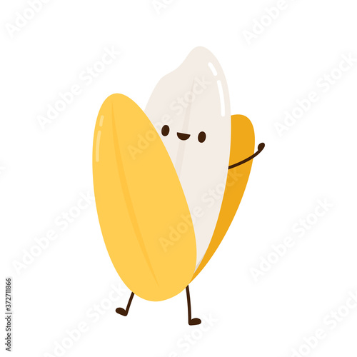 Rice character design. rice vector on white background. rice seed.