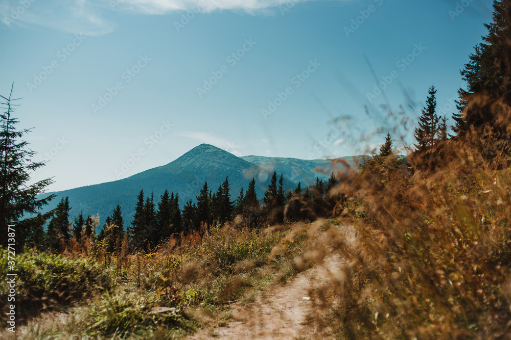 Mountain trail in the Carpathians leading to the highest mountains. Sport and active life concept. Beautiful landscape. Mountain trail in the Carpathians leading to the highest mountains. Sport and active life concept. Beautiful landscape.