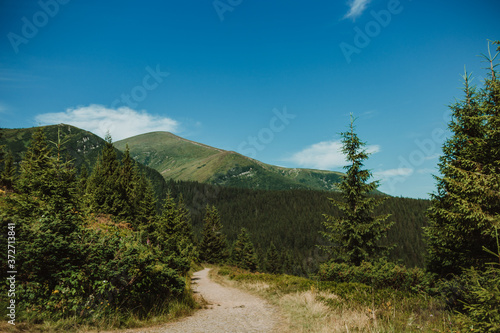 Mountain trail in the Carpathians leading to the highest mountains. Sport and active life concept. Beautiful landscape.