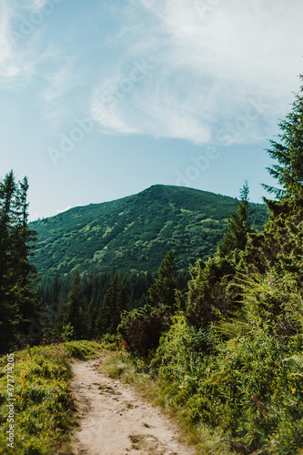 Mountain trail in the Carpathians leading to the highest mountains. Sport and active life concept. Beautiful landscape.
