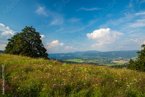 View from Mala Kykula hill near Jablunkov town in Moravskoslezske Beskydy mountains in Czech republic photo