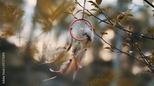 Cuadro en lienzo Close up of the macrame dreamcatcher hanging on a branch in the park