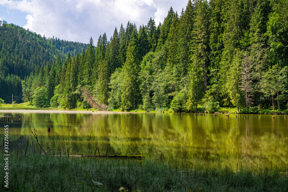 Mountain lake reflection. 