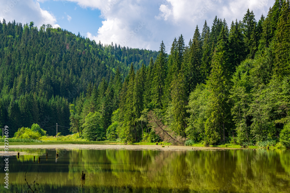 Mountain lake. Red Lake Romania