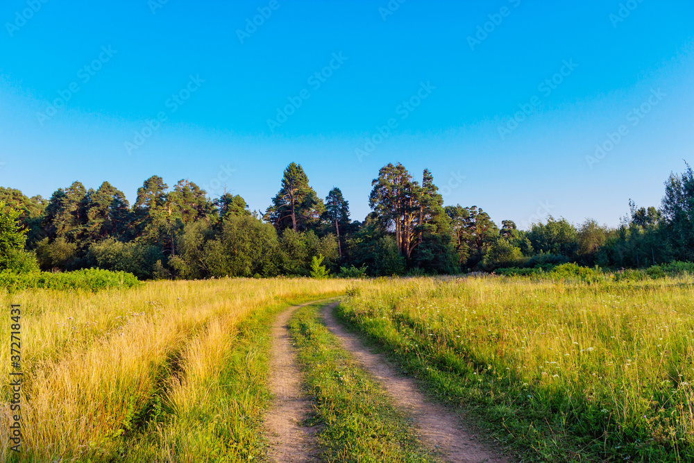 dirt road in a field on a sunny summer day