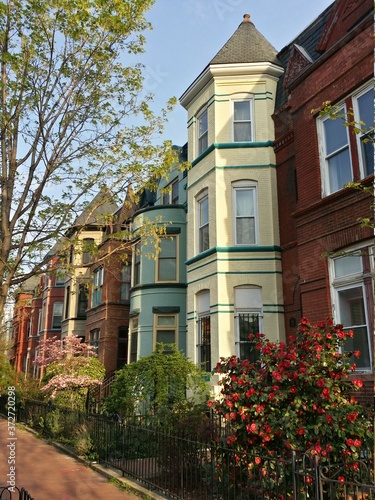 Wallpaper Mural Colorful row houses of Washington, DC Torontodigital.ca