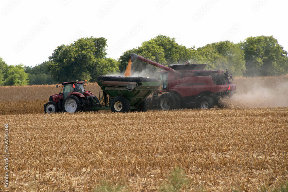 Obraz premium Harvesting corn in the summer in New Braunfels, TX