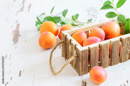 Fresh ripe apricots in the wooden box on the rustic white table. Harvest time, thanksgiving concept.