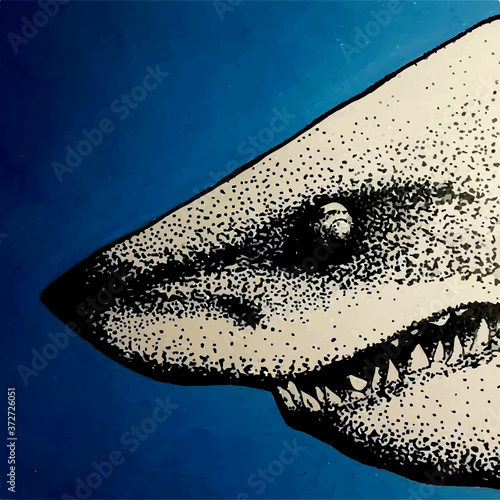 Tiburón Blanco