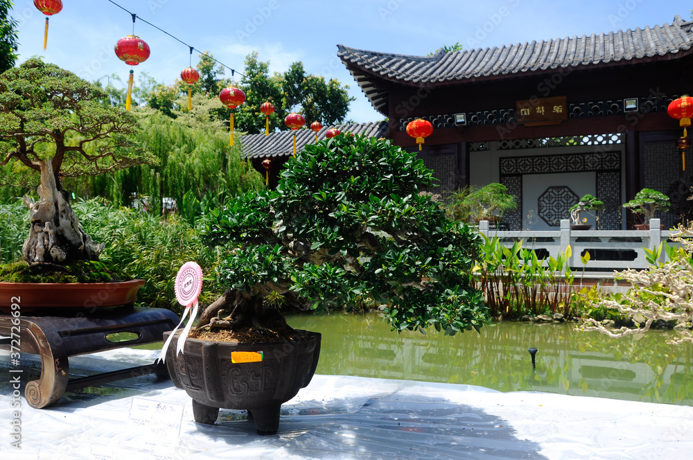 Obraz premium PUTRAJAYA, MALAYSIA -MAY 30, 2016: Bonsai tree display for public in Royal Floria Putrajaya garden in Putrajaya, Malaysia. 