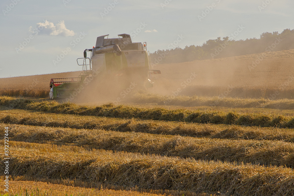 Fototapeta premium View of the combine harvester in Pardubice Region, Czech Republic