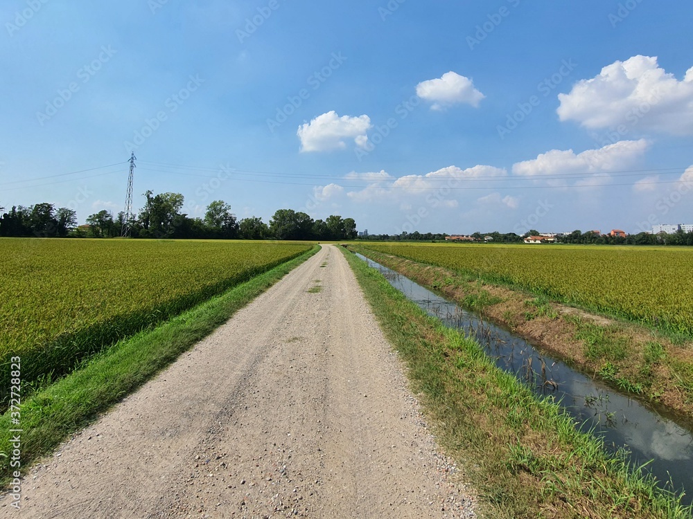 road in the field