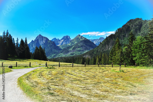 Bielovodska dolina, Dolina Bialej Wody, White Water Valley in Tatra mountains. Valley of White Water in Slovakia Tatra Mountains