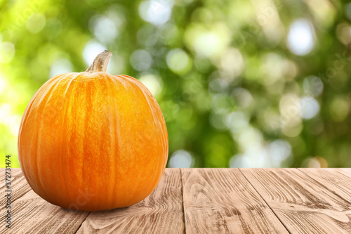 Fresh pumpkin on wooden table against blurred greenery. Space for text