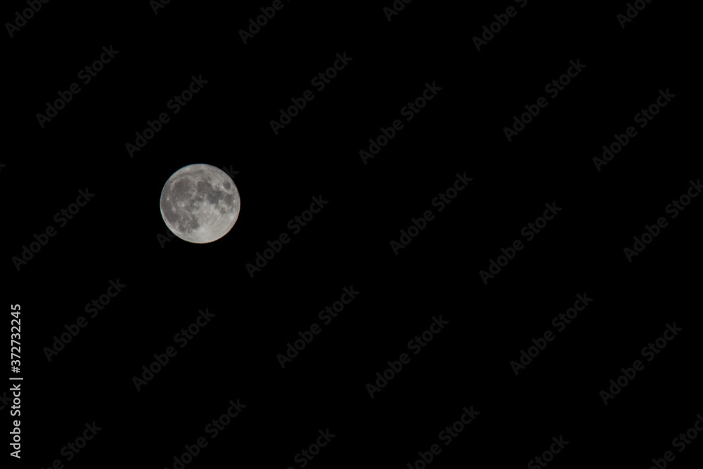 Fototapeta premium full moon at a summer night