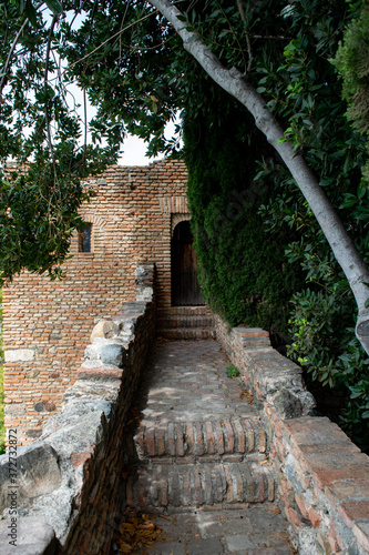 door, wall and creeper of Alcazaba, Málaga