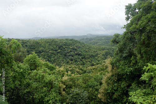BEAUTIFUL OF RAINY GREEN FOREST MOUNTAIN © SMIT VYAS
