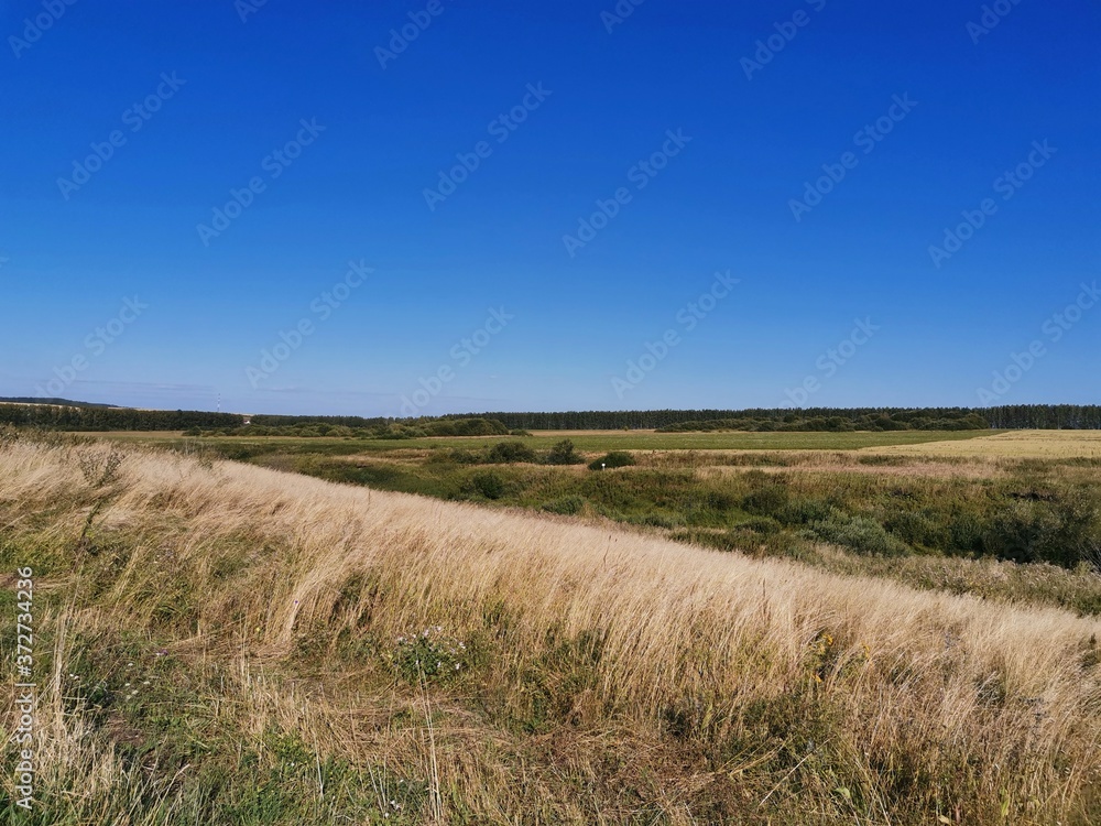 Golden field and blue sky in august