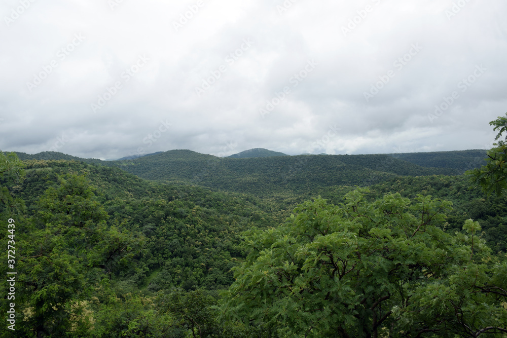 BEAUTIFUL OF RAINY GREEN FOREST MOUNTAIN BEAUTIFUL OF RAINY GREEN FOREST MOUNTAIN