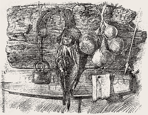 Freehand drawing of rural still life with onions bunch, dried fish, horseshoe and padlock hanging on wooden wall