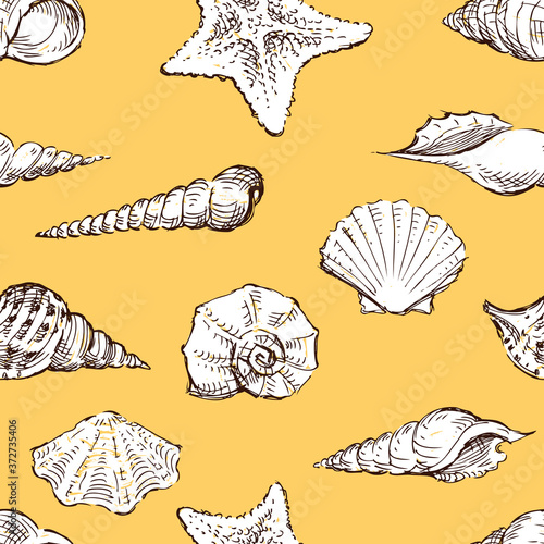 Seamless pattern of sketches various seashells
