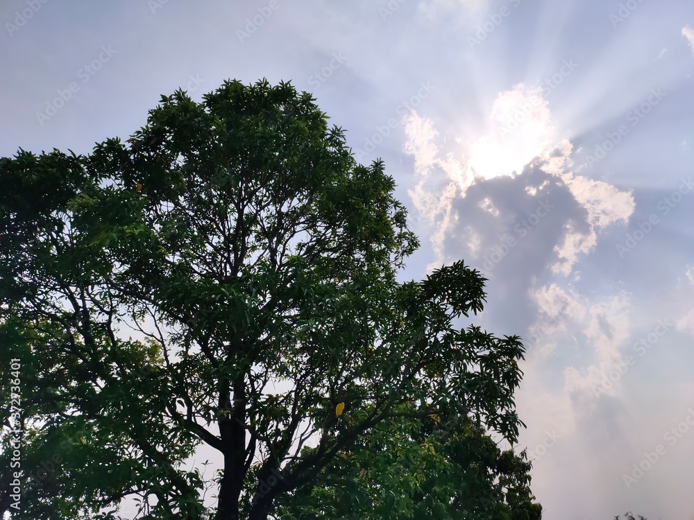 Obraz premium sun and clouds