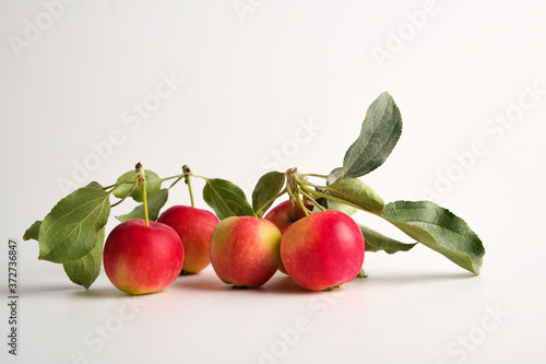 Red and yellow ripe apples with leaves on a light background. horizontal orientation. No people. 