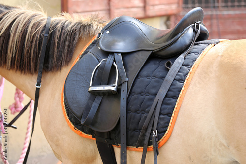 Old leather saddles horse with stirrups on a back of a saddle horse