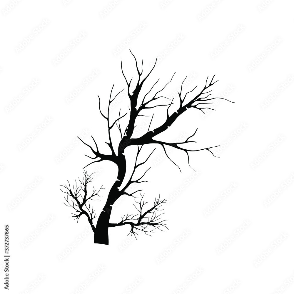 Obraz premium Plant and tree icons set vector. Forest elements.