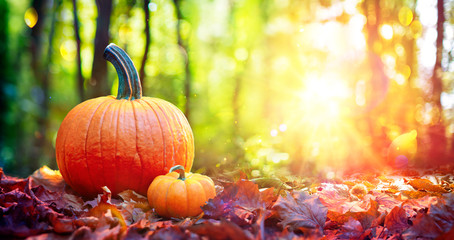 Pumpkins On Red Leaves In Autumn Forest With Defocused Sunset Background

