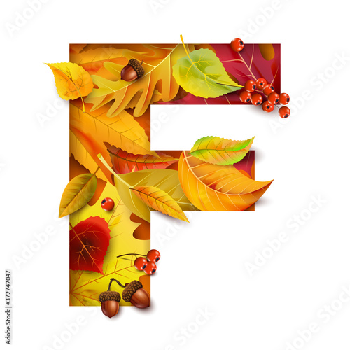 Autumn stylized alphabet. Letter F.