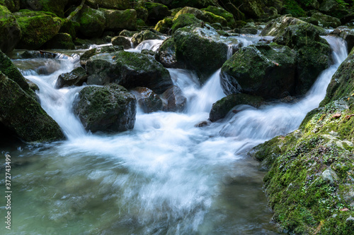 Fototapeta Naklejka Na Ścianę i Meble -  water