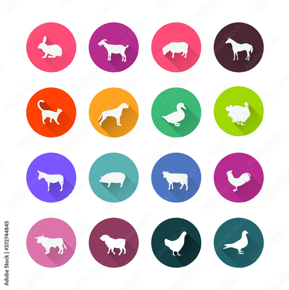 Vector icons Vector icons