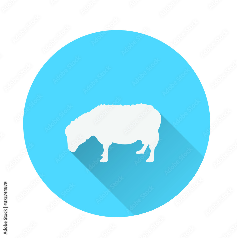 Sheep Sheep