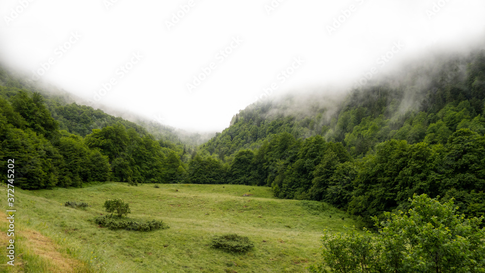 Obraz premium Misty mountain landscape. Pyrenees. Fog in forest. 