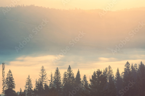 Beautiful autumn scenic panorama of foggy Carpathian mountains at early morning. Fog, illuminated by rising sun, over mountain hills.