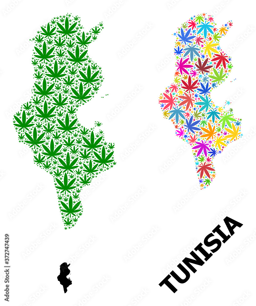 Vector Collage Map of Tunisia of Colorful and Green Weed Leaves and Solid Map