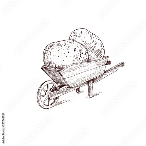Hand drawn farmer wooden cart with potato. Farm fresh delivery design template. Vector illustration isolated on white background.